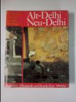 Alt-Delhi Neu-Delhi - Spaziergänge zwischen Affenstadt und Rotem Fort - náhled