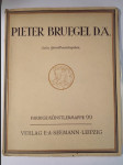 Pieter Bruegel d.Ä. - Farbige Künstlermappe 99 - náhled