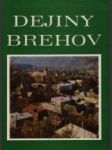 Dejiny Brehov - náhled