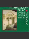 Přemyslovský palác Olomouc - náhled