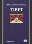 Stručná historie států - Tibet - náhled