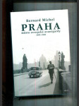 Praha (Město evropské avantgardy 1895-1928) - náhled