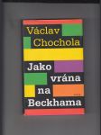 Jako vrána na Beckhama - náhled