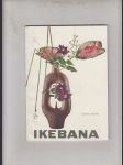 Ikebana - náhled