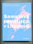 Sametová revoluce v Litomyšli (Příspěvek k politickým dějinám okresu Svitavy v letech 1989 - 1991) - náhled