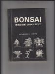 Bonsai (Miniaturní strom v misce) - náhled