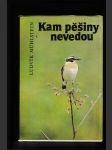 Kam pěšiny nevedou - náhled