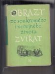 Obrazy ze soukromého i veřejného života zvířat (Studie současných mravů) - náhled