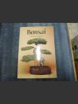 Bonsai - náhled