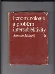Fenomenologie a problém intersubjektivity - náhled