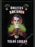 Boletus Arcanus - náhled