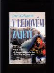 V ledovém zajetí - náhled