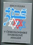 Židé v československé Svobodově armádě - náhled