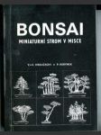 Bonsai, miniaturní strom v misce - náhled