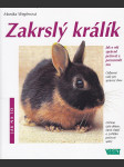 Zakrslý králík - jak o něj správně pečovat a porozumět mu - odborné rady pro správný chov - náhled
