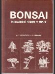 Bonsai - miniaturní strom v misce - náhled