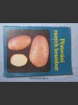 Pěstování raných brambor - náhled
