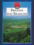 Brezová pod Bradlom - náhled