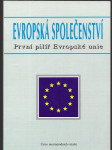 Evropská společenství - první pilíř Evropské unie - náhled