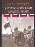 Slovensko-Francúzsko, Slovaquie-France - náhled
