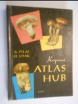 Kapesní atlas hub - pomocná kniha pro základní devítileté školy - náhled