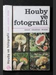 Houby ve fotografii - náhled