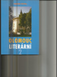 Olomouc literární II. - náhled