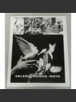 Valerij Gende-Rote [= Edice Mezinárodní fotografie; 10] - náhled