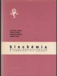 Biochémia. Molekulárnobiologické a farmaceutické aspekty - náhled