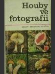 Houby ve fotografii - náhled