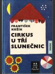 Cirkus U tří slunečnic - Pohádka o klaunu, dětech a zvířátkách - náhled