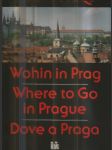 Kam v Praze a okolí - Wohin in Prag und Umgebung / Where to Go in and around Prague / Dove a Praga e nelle sue vicinanze - náhled