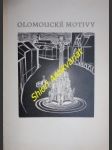 Olomoucké motivy - jemelková jana - náhled