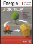 Energie z biomasy - náhled