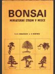 Bonsai - miniaturní strom v misce - náhled