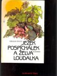 Ježek Pospíchálek a želva Loudalka - náhled