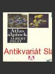 Atlas alpínek - náhled