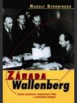 Záhada wallenberg - náhled