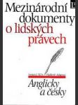 Mezinárodní dokumenty o lidských právech - anglicky a česky - náhled