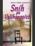 Sníh po velikonocích - náhled