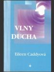 Vlny ducha - náhled