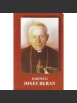 Kardinál Josef Beran (1999) - náhled