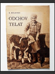 Odchov telat  - náhled