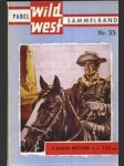 Wild west roman - náhled