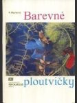 Barevné ploutvičky - náhled