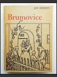Brumovice  - náhled