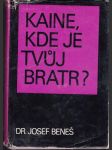 Kaine, kde je tvůj bratr? (menší formát) - náhled