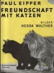 Freundschaft mit Katzen - náhled