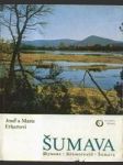 Šumava - náhled