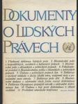 Dokumenty o lidských právech - náhled